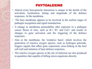 PHYTOALEXINS
 Almost every host-parasite interaction is unique in the details of the
activation, localization, timing and magnitude of the defence
responses. At the membrane.
 The host membrane appears to be involved in the earliest stages of
pathogen recognition and signal transduction.
 A change in membrane permeability after exposure to a pathogen
causes fluxes in ions, such as K+, H+ and Ca2+ and results in
changes to gene activation and the triggering of the defence
responses.
 Also at the membrane, the 'oxidative burst', which involves the
generation of reactive oxygen species, such as hydrogen peroxide,
triggers signals that affect gene expression, cross-linking in the host
cell wall and initiation of later defence responses.
 The reactive oxygen species at the site of infection are also produced
in quantities that capable of killing micro-organisms directly.
 