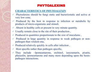 PHYTOALEXINS
CHARACTERISTICS OF PHYTOALEXIN
 Phytoalexins should be fungi static and bacteriostatic and active at
very low conc.
 Produced by the host in response to infection or metabolic by
products of micro-organisms and stimuli.
 Absent in healthy cells or present in very minute quantity.
 Usually remain close to the site of their production ,
 Produced in quantities proportionate to the size of inoculums ,
 Produced in large quantity in response to weak pathogen or non-
pathogen than virulent one,
 Produced relatively quickly in cells after infection ,
 Host specific rather than pathogen specific,
 They include –lpomeamarone, orchinol, isocoumarin, pisatin,
phaseolin, ipomeamarone and many more depending upon the hosts-
pathogen interactions.
 