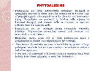 PHYTOALEXINS
 Phytoalexins are toxic antimicrobial substances produced in
appreciable amounts in plants only after stimulation by various types
of phytopathogenic microorganisms or by chemical and mechanical
injury. Phytoalexins are produced by healthy cells adjacent to
localized damaged and necrotic cells in response to materials
diffusing from the damaged cells.
 Phytoalexins are not produced during compatible biotrophic
infections. Phytoalexins accumulate around both resistant and
susceptible necrotic tissues.
 Resistance occurs when one or more phytoalexins reach a
concentration sufficient to restrict pathogen development.
 Most known phytoalexins are toxic to and inhibit the growth of fungi
pathogenic to plants, but some are also toxic to bacteria, nematodes,
and other organisms.
 More than 300 chemicals with phytoalexinlike properties have been
isolated from plants belonging to more than 30 families.
 