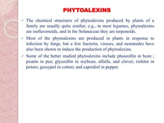 PHYTOALEXINS
 The chemical structures of phytoalexins produced by plants of a
family are usually quite similar; e.g., in most legumes, phytoalexins
are isoflavonoids, and in the Solanaceae they are terpenoids.
 Most of the phytoalexins are produced in plants in response to
infection by fungi, but a few bacteria, viruses, and nematodes have
also been shown to induce the production of phytoalexins.
 Some of the better studied phytoalexins include phaseollin in bean ;
pisatin in pea; glyceollin in soybean, alfalfa, and clover; rishitin in
potato; gossypol in cotton; and capsidiol in pepper.
 