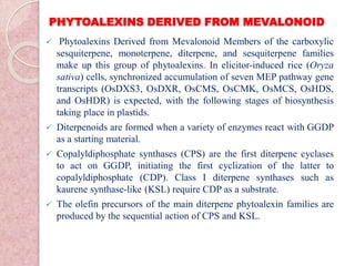 PHYTOALEXINS DERIVED FROM MEVALONOID
 Phytoalexins Derived from Mevalonoid Members of the carboxylic
sesquiterpene, monoterpene, diterpene, and sesquiterpene families
make up this group of phytoalexins. In elicitor-induced rice (Oryza
sativa) cells, synchronized accumulation of seven MEP pathway gene
transcripts (OsDXS3, OsDXR, OsCMS, OsCMK, OsMCS, OsHDS,
and OsHDR) is expected, with the following stages of biosynthesis
taking place in plastids.
 Diterpenoids are formed when a variety of enzymes react with GGDP
as a starting material.
 Copalyldiphosphate synthases (CPS) are the first diterpene cyclases
to act on GGDP, initiating the first cyclization of the latter to
copalyldiphosphate (CDP). Class I diterpene synthases such as
kaurene synthase-like (KSL) require CDP as a substrate.
 The olefin precursors of the main diterpene phytoalexin families are
produced by the sequential action of CPS and KSL.
 