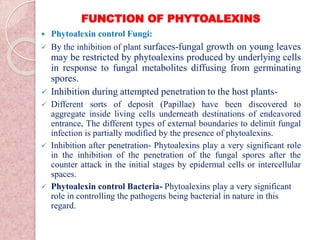 FUNCTION OF PHYTOALEXINS
 Phytoalexin control Fungi:
 By the inhibition of plant surfaces-fungal growth on young leaves
may be restricted by phytoalexins produced by underlying cells
in response to fungal metabolites diffusing from germinating
spores.
 Inhibition during attempted penetration to the host plants-
 Different sorts of deposit (Papillae) have been discovered to
aggregate inside living cells underneath destinations of endeavored
entrance, The different types of external boundaries to delimit fungal
infection is partially modified by the presence of phytoalexins.
 Inhibition after penetration- Phytoalexins play a very significant role
in the inhibition of the penetration of the fungal spores after the
counter attack in the initial stages by epidermal cells or intercellular
spaces.
 Phytoalexin control Bacteria- Phytoalexins play a very significant
role in controlling the pathogens being bacterial in nature in this
regard.
 