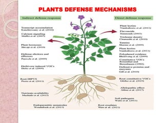 PLANTS DEFENSE MECHANISMS
 