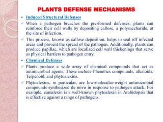 Comprehensive Insights into Plant Defense Mechanisms: Phytoalexins and ...