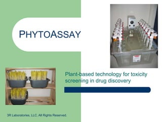 PHYTOASSAY Plant-based technology for toxicity screening in drug discovery  3R Laboratories, LLC. All Rights Reserved. 