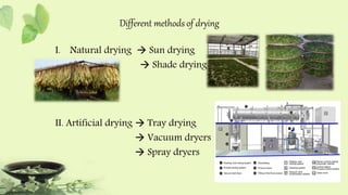 Shade Drying Example Phytochemical screening | PPTX