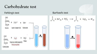 phytochemical testing methodologies and principle for preliminary ...