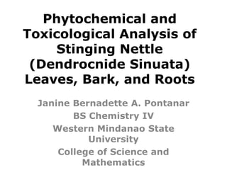 Phytochemical and
Toxicological Analysis of
     Stinging Nettle
 (Dendrocnide Sinuata)
Leaves, Bark, and Roots
  Janine Bernadette A. Pontanar
         BS Chemistry IV
     Western Mindanao State
            University
      College of Science and
           Mathematics
 