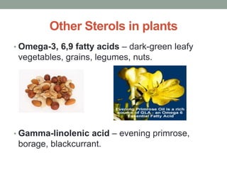 Other Sterols in plants 
• Omega-3, 6,9 fatty acids – dark-green leafy 
vegetables, grains, legumes, nuts. 
• Gamma-linolenic acid – evening primrose, 
borage, blackcurrant. 
 
