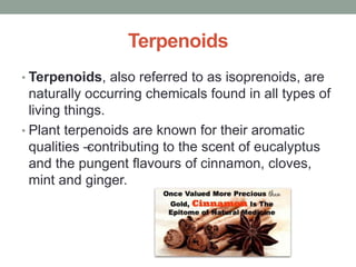 Terpenoids 
• Terpenoids, also referred to as isoprenoids, are 
naturally occurring chemicals found in all types of 
living things. 
• Plant terpenoids are known for their aromatic 
qualities – contributing to the scent of eucalyptus 
and the pungent flavours of cinnamon, cloves, 
mint and ginger. 
 