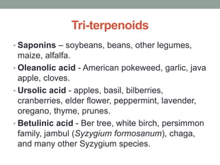 Tri-terpenoids 
• Saponins – soybeans, beans, other legumes, 
maize, alfalfa. 
• Oleanolic acid - American pokeweed, garlic, java 
apple, cloves. 
• Ursolic acid - apples, basil, bilberries, 
cranberries, elder flower, peppermint, lavender, 
oregano, thyme, prunes. 
• Betulinic acid - Ber tree, white birch, persimmon 
family, jambul (Syzygium formosanum), chaga, 
and many other Syzygium species. 
 