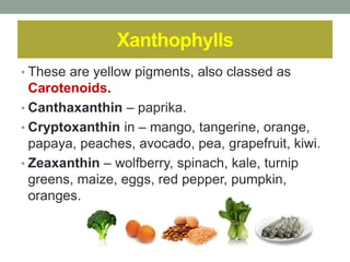 Xanthophylls 
• These are yellow pigments, also classed as 
Carotenoids. 
• Canthaxanthin – paprika. 
• Cryptoxanthin in – mango, tangerine, orange, 
papaya, peaches, avocado, pea, grapefruit, kiwi. 
• Zeaxanthin – wolfberry, spinach, kale, turnip 
greens, maize, eggs, red pepper, pumpkin, 
oranges. 
 