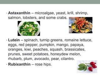 • Astaxanthin – microalgae, yeast, krill, shrimp, 
salmon, lobsters, and some crabs. 
• Lutein – spinach, turnip greens, romaine lettuce, 
eggs, red pepper, pumpkin, mango, papaya, 
oranges, kiwi, peaches, squash, brassicates, 
prunes, sweet potatoes, honeydew melon, 
rhubarb, plum, avocado, pear, cilantro. 
• Rubixanthin – rose hips. 
 