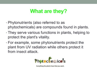 What are they? 
• Phytonutrients (also referred to as 
phytochemicals) are compounds found in plants. 
• They serve various functions in plants, helping to 
protect the plant's vitality. 
• For example, some phytonutrients protect the 
plant from UV radiation while others protect it 
from insect attack. 
 