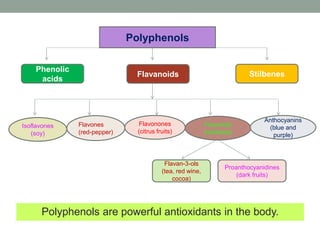 Phenolic 
acids 
Isoflavones 
(soy) 
Flavones 
(red-pepper) 
Polyphenols 
Flavanoids Stilbenes 
Flavonones 
(citrus fruits) 
Flavonols 
(colorless) 
Anthocyanins 
(blue and 
purple) 
Flavan-3-ols 
(tea, red wine, 
cocoa) 
Proanthocyanidines 
(dark fruits) 
Polyphenols are powerful antioxidants in the body. 
 