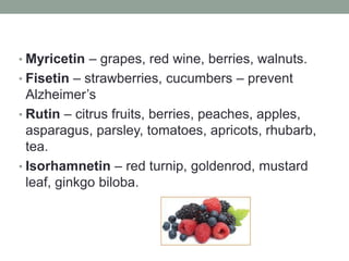 • Myricetin – grapes, red wine, berries, walnuts. 
• Fisetin – strawberries, cucumbers – prevent 
Alzheimer’s 
• Rutin – citrus fruits, berries, peaches, apples, 
asparagus, parsley, tomatoes, apricots, rhubarb, 
tea. 
• Isorhamnetin – red turnip, goldenrod, mustard 
leaf, ginkgo biloba. 
 
