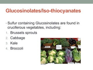 Glucosinolates/Iso-thiocyanates 
• Sulfur containing Glucosinolates are found in 
cruciferous vegetables, including: 
1. Brussels sprouts 
2. Cabbage 
3. Kale 
4. Broccoli 
 