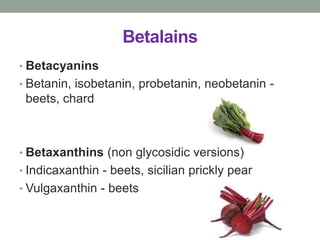 Betalains 
• Betacyanins 
• Betanin, isobetanin, probetanin, neobetanin - 
beets, chard 
• Betaxanthins (non glycosidic versions) 
• Indicaxanthin - beets, sicilian prickly pear 
• Vulgaxanthin - beets 
 