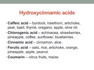 Hydroxycinnamic acids 
• Caffeic acid – burdock, hawthorn, artichoke, 
pear, basil, thyme, oregano, apple, olive oil. 
• Chlorogenic acid – echinacea, strawberries, 
pineapple, coffee, sunflower, blueberries. 
• Cinnamic acid – cinnamon, aloe. 
• Ferulic acid – oats, rice, artichoke, orange, 
pineapple, apple, peanut. 
• Coumarin – citrus fruits, maize. 
 