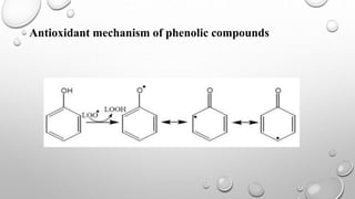 Antioxidant mechanism of phenolic compounds
 