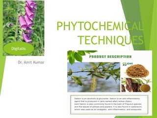 PHYTOCHEMICAL
TECHNIQUES
Dr. Amit Kumar
Digitalis
 