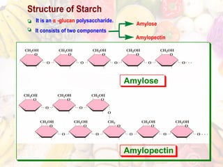 Phytochemistry carbohydrate 1 | PPT