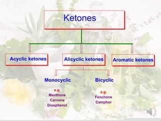 Ketones
Acyclic ketones Alicyclic ketones Aromatic ketones
Monocyclic Bicyclic
e.g.
Menthone
Carvone
Diosphenol
e.g.
Fenchone
Camphor
 