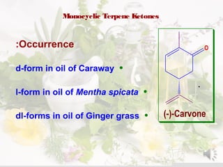 Monocyclic Terpene Ketones
O
(-)-Carvone
•
Occurrence:
•d-form in oil of Caraway
•l-form in oil of Mentha spicata
•dl-forms in oil of Ginger grass
 