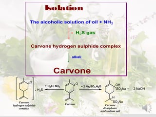 Isolation
The alcoholic solution of oil + NH3
- H2S gas
Carvone
alkali
Carvone hydrogen sulphide complex
O
SO3Na
OH
O
SO3Na
H
. H2S 2 NaOH
Carvone Carvone
disulphonic
acid sodium salt
Carvone
hydrogen sulphide
complex
+ H2S / NH3 + 2 Na2SO3.H2O
+
 