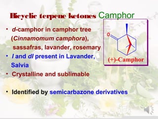 Bicyclic terpene ketones Camphor
• d-camphor in camphor tree
)Cinnamomum camphora(,
sassafras, lavander, rosemary
• l and dl present in Lavander,
Salvia
• Crystalline and sublimable
• Identified by semicarbazone derivatives
O
(+)-Camphor
 