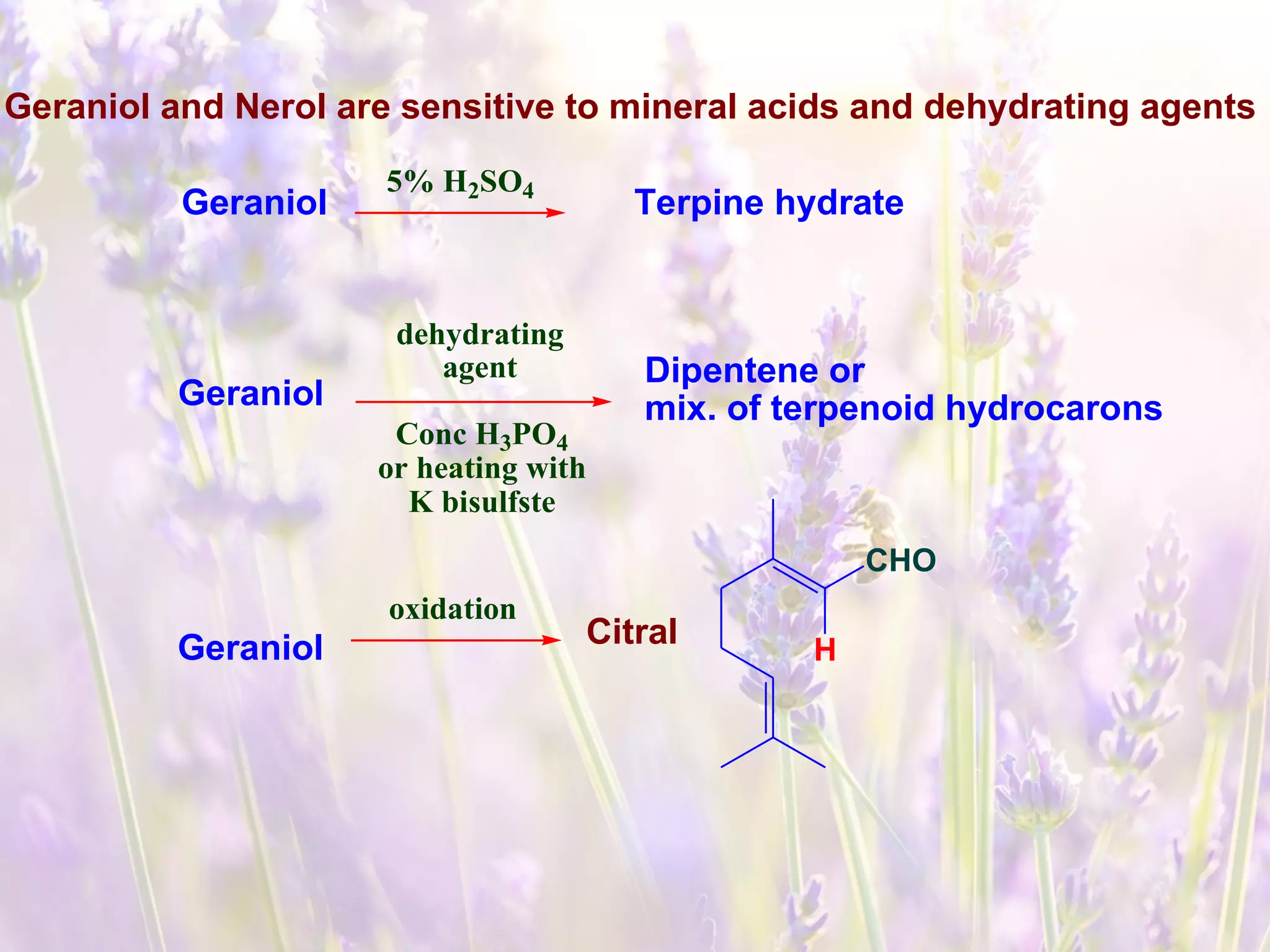 Geraniol
5% H2SO4
Terpine hydrate
Geraniol and Nerol are sensitive to mineral acids and dehydrating agents
Geraniol
dehydrating
agent Dipentene or
mix. of terpenoid hydrocarons
Conc H3PO4
or heating with
K bisulfste
Geraniol
oxidation
Citral
CHO
H
 