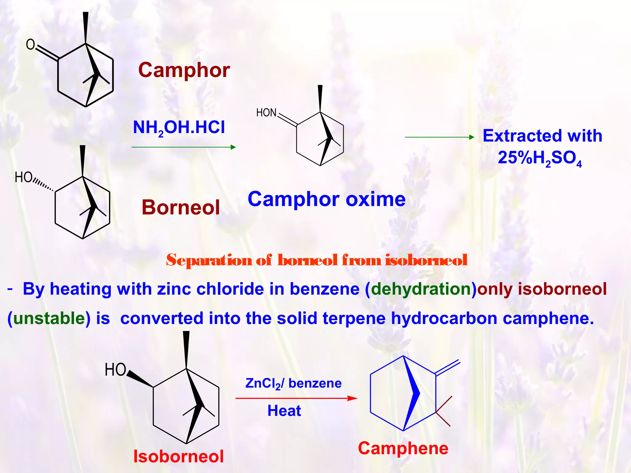 O
HO
NH2OH.HCl
HON
Camphor oxime
Extracted with
25%H2SO4
Borneol
Camphor
Separation of borneol fromisoborneol
- By heating with zinc chloride in benzene (dehydration)only isoborneol
(unstable) is converted into the solid terpene hydrocarbon camphene.
Isoborneol
ZnCl2/ benzene
Heat
Camphene
HO
 