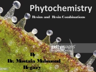 Phytochemistry
Resins and Resin Combinations
By
Dr. Mostafa Mahmoud
Hegazy
 