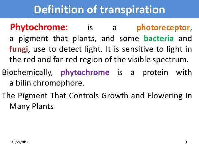 Phytochrome