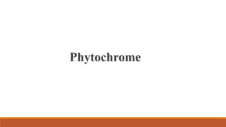 Phytochrome
 