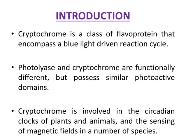 Cryptohroe Phytochrome and cryptochrome | PPTX
