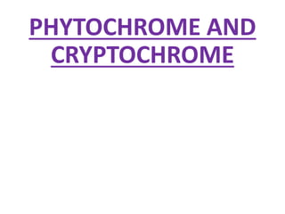 PHYTOCHROME AND
CRYPTOCHROME
 