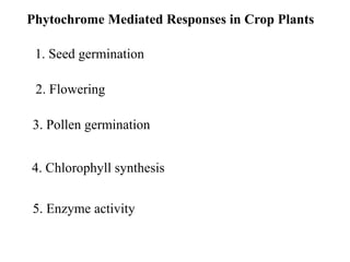 Phytochrome Mediated Responses in Crop Plants
1. Seed germination
2. Flowering
3. Pollen germination
4. Chlorophyll synthesis
5. Enzyme activity
 