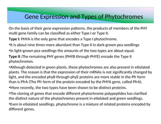 Phya Expression Pattern PHYTOCHROMES 123456789012345678901234567890.ppt
