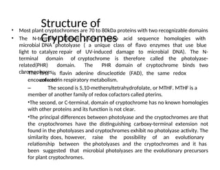 PHYTOCHROMES 123456789012345678901234567890.ppt