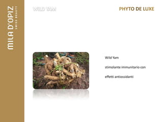 Wild Yam

stimolante immunitario con

effetti antiossidanti
 