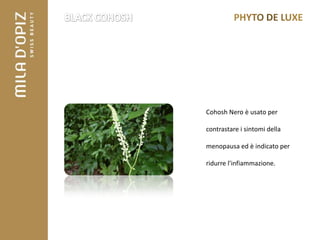 Cohosh Nero è usato per

contrastare i sintomi della

menopausa ed è indicato per

ridurre l'infiammazione.
 