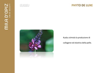 Kudzu stimola la produzione di

collagene ed elastina della pelle.
 