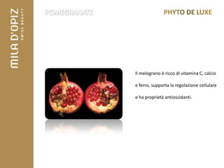 Il melograno è ricco di vitamina C, calcio

e ferro, supporta la regolazione cellulare

e ha proprietà antiossidanti.
 