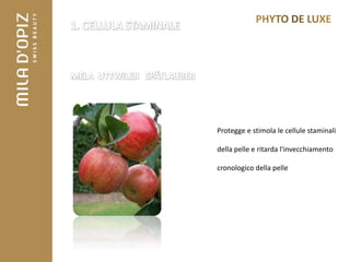 Protegge e stimola le cellule staminali

della pelle e ritarda l'invecchiamento

cronologico della pelle
 