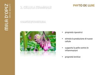 • proprietà riparatrici

• stimola la produzione di nuove
  cellule

• supporta la pelle contro le
  infiammazioni

• proprietà lenitive
 