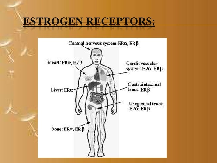Phytoestrogen