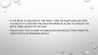 Chelater Phyto extration | PPTX
