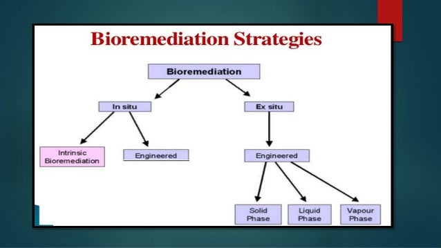 Bioremediation Phytoremediation - 