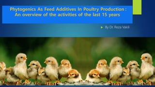 Phytogenics As Feed Additives In Poultry Production :
An overview of the activities of the last 15 years
 By Dr. Reza Vakili
 